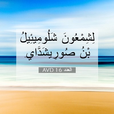 Picture 07 - اَلْعَدَد 1:6 AVD - لِشِمْعُونَ شَلُومِيئِيلُ - Bible Verse Picture