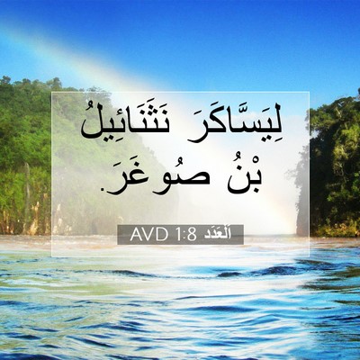 Picture 07 - اَلْعَدَد 1:8 AVD - لِيَسَّاكَرَ نَثَنَائِيلُ - Bible Verse Picture