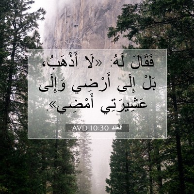 Picture 07 - اَلْعَدَد 10:30 AVD - فَقَالَ لَهُ: «لَا - Bible Verse Picture