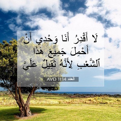 Picture 07 - اَلْعَدَد 11:14 AVD - لَا أَقْدِرُ أَنَا وَحْدِي - Bible Verse Picture