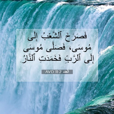 Picture 07 - اَلْعَدَد 11:2 AVD - فَصَرَخَ ٱلشَّعْبُ إِلَى - Bible Verse Picture