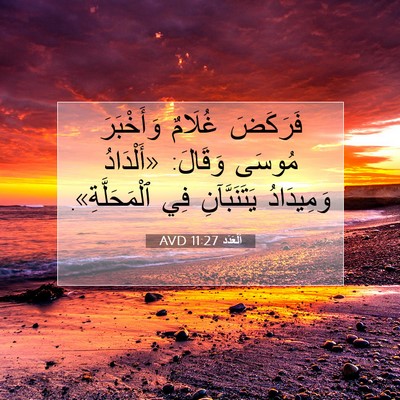Picture 07 - اَلْعَدَد 11:27 AVD - فَرَكَضَ غُلَامٌ - Bible Verse Picture