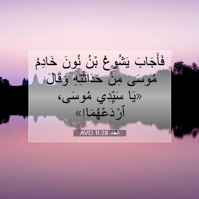 Picture 07 - اَلْعَدَد 11:28 AVD - فَأَجَابَ يَشُوعُ بْنُ - Bible Verse Picture