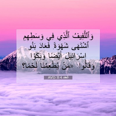 Picture 07 - اَلْعَدَد 11:4 AVD - وَٱللَّفِيفُ ٱلَّذِي فِي - Bible Verse Picture