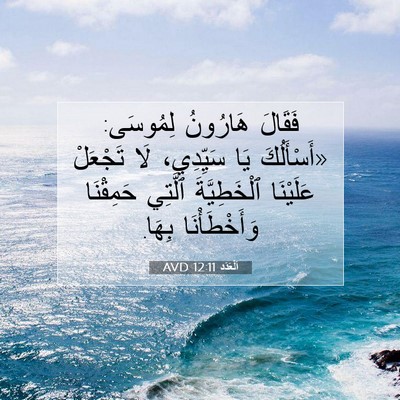 Picture 07 - اَلْعَدَد 12:11 AVD - فَقَالَ هَارُونُ لِمُوسَى: - Bible Verse Picture