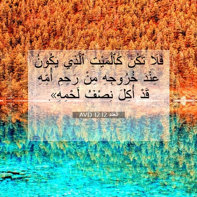 Picture 07 - اَلْعَدَد 12:12 AVD - فَلَا تَكُنْ كَٱلْمَيْتِ - Bible Verse Picture