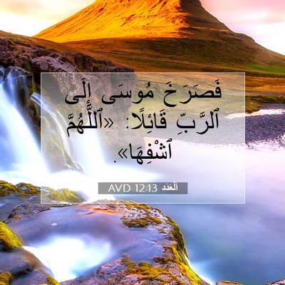 Picture 07 - اَلْعَدَد 12:13 AVD - فَصَرَخَ مُوسَى إِلَى - Bible Verse Picture
