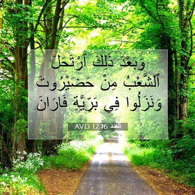 Picture 07 - اَلْعَدَد 12:16 AVD - وَبَعْدَ ذَلِكَ ٱرْتَحَلَ - Bible Verse Picture
