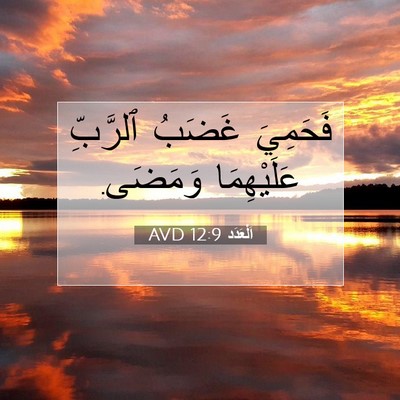 Picture 07 - اَلْعَدَد 12:9 AVD - فَحَمِيَ غَضَبُ ٱلرَّبِّ - Bible Verse Picture