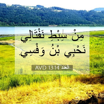 Picture 07 - اَلْعَدَد 13:14 AVD - مِنْ سِبْطِ نَفْتَالِي - Bible Verse Picture