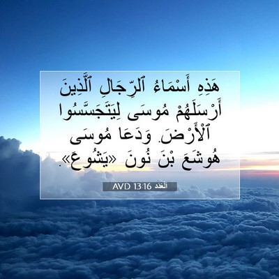 Picture 07 - اَلْعَدَد 13:16 AVD - هَذِهِ أَسْمَاءُ - Bible Verse Picture