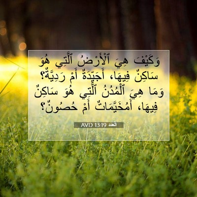 Picture 07 - اَلْعَدَد 13:19 AVD - وَكَيْفَ هِيَ ٱلْأَرْضُ - Bible Verse Picture