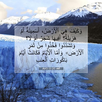 Picture 07 - اَلْعَدَد 13:20 AVD - وَكَيْفَ هِيَ ٱلْأَرْضُ، - Bible Verse Picture