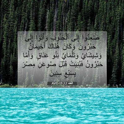 Picture 07 - اَلْعَدَد 13:22 AVD - صَعِدُوا إِلَى ٱلْجَنُوبِ - Bible Verse Picture