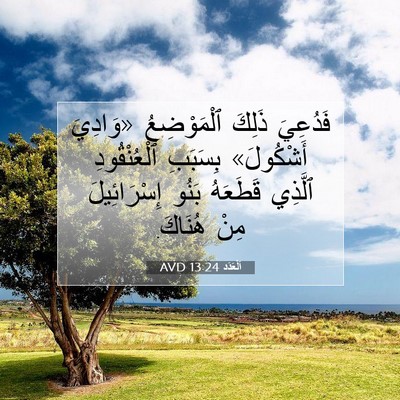 Picture 07 - اَلْعَدَد 13:24 AVD - فَدُعِيَ ذَلِكَ - Bible Verse Picture