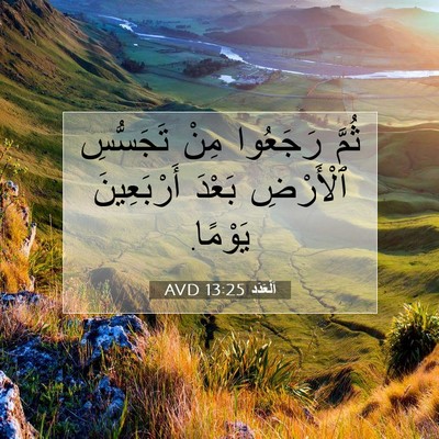 Picture 07 - اَلْعَدَد 13:25 AVD - ثُمَّ رَجَعُوا مِنْ - Bible Verse Picture