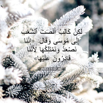Picture 07 - اَلْعَدَد 13:30 AVD - لَكِنْ كَالِبُ أَنْصَتَ - Bible Verse Picture