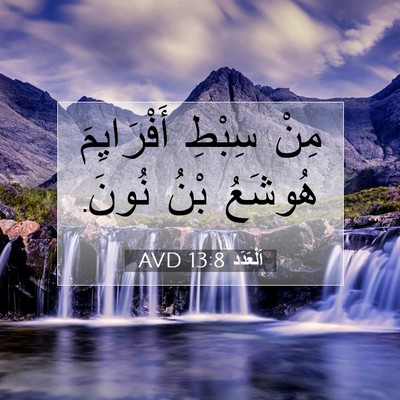 Picture 07 - اَلْعَدَد 13:8 AVD - مِنْ سِبْطِ أَفْرَايِمَ - Bible Verse Picture