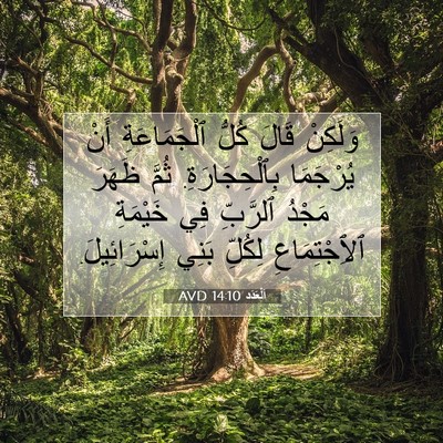 Picture 07 - اَلْعَدَد 14:10 AVD - وَلَكِنْ قَالَ كُلُّ - Bible Verse Picture