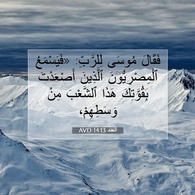 Picture 07 - اَلْعَدَد 14:13 AVD - فَقَالَ مُوسَى لِلرَّبِّ: - Bible Verse Picture