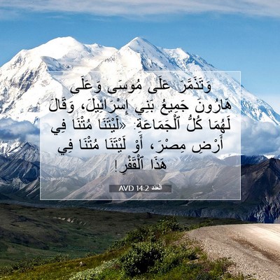 Picture 07 - اَلْعَدَد 14:2 AVD - وَتَذَمَّرَ عَلَى مُوسَى - Bible Verse Picture