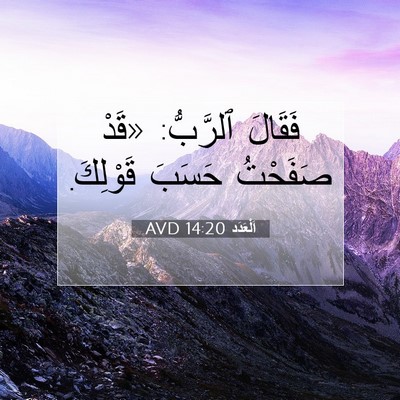 Picture 07 - اَلْعَدَد 14:20 AVD - فَقَالَ ٱلرَّبُّ: «قَدْ - Bible Verse Picture