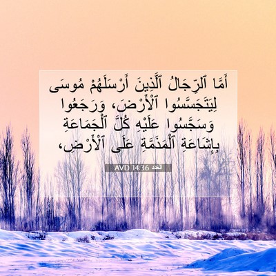 Picture 07 - اَلْعَدَد 14:36 AVD - أَمَّا ٱلرِّجَالُ - Bible Verse Picture