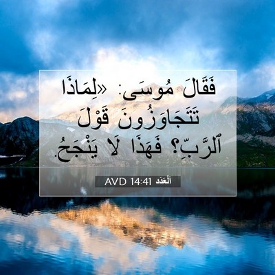 Picture 07 - اَلْعَدَد 14:41 AVD - فَقَالَ مُوسَى: «لِمَاذَا - Bible Verse Picture