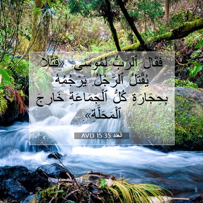 Picture 07 - اَلْعَدَد 15:35 AVD - فَقَالَ ٱلرَّبُّ لِمُوسَى: - Bible Verse Picture