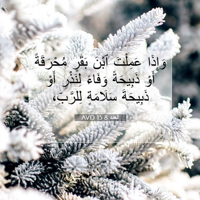 Picture 07 - اَلْعَدَد 15:8 AVD - وَإِذَا عَمِلْتَ ٱبْنَ - Bible Verse Picture