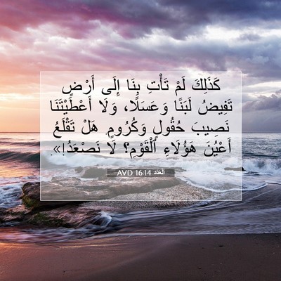 Picture 07 - اَلْعَدَد 16:14 AVD - كَذَلِكَ لَمْ تَأْتِ بِنَا - Bible Verse Picture