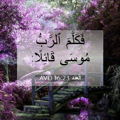 Picture 07 - اَلْعَدَد 16:23 AVD - فَكَلَّمَ ٱلرَّبُّ مُوسَى - Bible Verse Picture