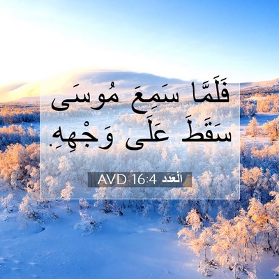Picture 07 - اَلْعَدَد 16:4 AVD - فَلَمَّا سَمِعَ مُوسَى - Bible Verse Picture