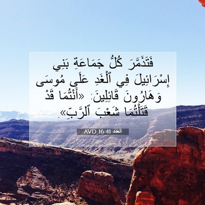 Picture 07 - اَلْعَدَد 16:41 AVD - فَتَذَمَّرَ كُلُّ - Bible Verse Picture