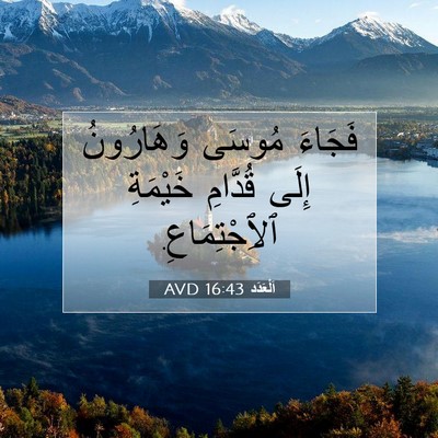 Picture 07 - اَلْعَدَد 16:43 AVD - فَجَاءَ مُوسَى وَهَارُونُ - Bible Verse Picture