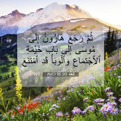 Picture 07 - اَلْعَدَد 16:50 AVD - ثُمَّ رَجَعَ هَارُونُ - Bible Verse Picture