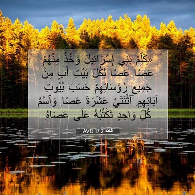 Picture 07 - اَلْعَدَد 17:2 AVD - «كَلِّمْ بَنِي - Bible Verse Picture