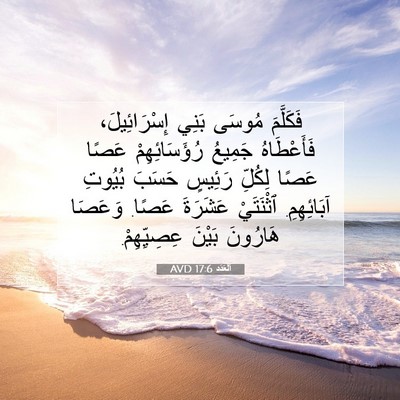 Picture 07 - اَلْعَدَد 17:6 AVD - فَكَلَّمَ مُوسَى بَنِي - Bible Verse Picture