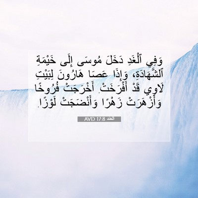 Picture 07 - اَلْعَدَد 17:8 AVD - وَفِي ٱلْغَدِ دَخَلَ - Bible Verse Picture
