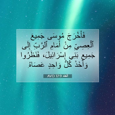 Picture 07 - اَلْعَدَد 17:9 AVD - فَأَخْرَجَ مُوسَى جَمِيعَ - Bible Verse Picture