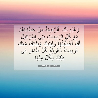 Picture 07 - اَلْعَدَد 18:11 AVD - وَهَذِهِ لَكَ: - Bible Verse Picture