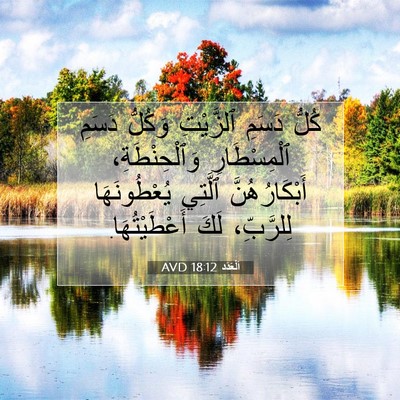 Picture 07 - اَلْعَدَد 18:12 AVD - كُلُّ دَسَمِ ٱلزَّيْتِ - Bible Verse Picture