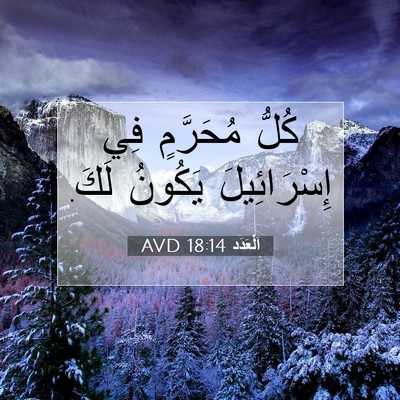 Picture 07 - اَلْعَدَد 18:14 AVD - كُلُّ مُحَرَّمٍ فِي - Bible Verse Picture