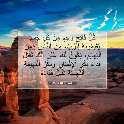 Picture 07 - اَلْعَدَد 18:15 AVD - كُلُّ فَاتِحِ رَحِمٍ مِنْ - Bible Verse Picture