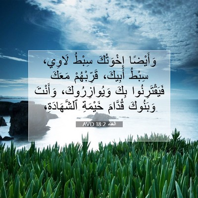 Picture 07 - اَلْعَدَد 18:2 AVD - وَأَيْضًا إِخْوَتُكَ - Bible Verse Picture