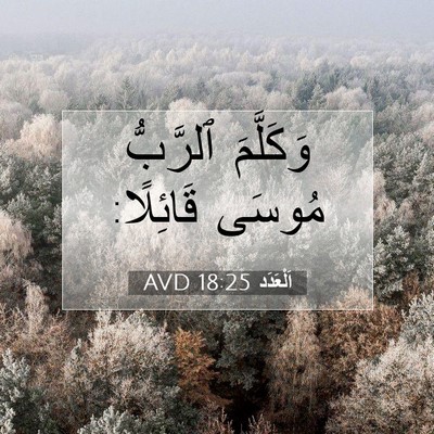 Picture 07 - اَلْعَدَد 18:25 AVD - وَكَلَّمَ ٱلرَّبُّ مُوسَى - Bible Verse Picture