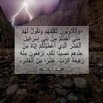 Picture 07 - اَلْعَدَد 18:26 AVD - «وَٱللَّاوِيُّونَ - Bible Verse Picture