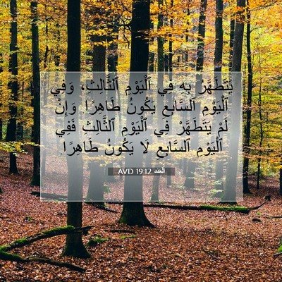 Picture 07 - اَلْعَدَد 19:12 AVD - يَتَطَهَّرُ بِهِ فِي - Bible Verse Picture