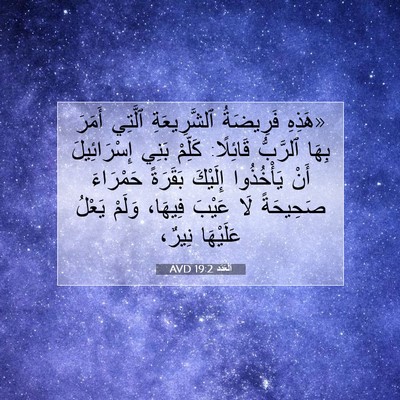 Picture 07 - اَلْعَدَد 19:2 AVD - «هَذِهِ فَرِيضَةُ - Bible Verse Picture
