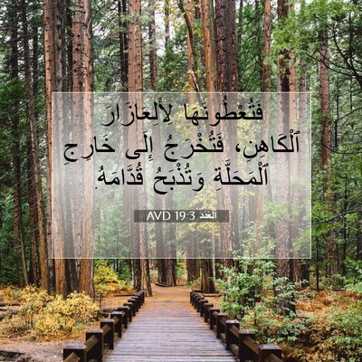 Picture 07 - اَلْعَدَد 19:3 AVD - فَتُعْطُونَهَا - Bible Verse Picture